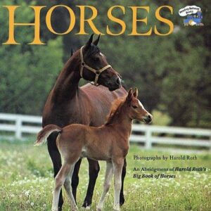 Horses